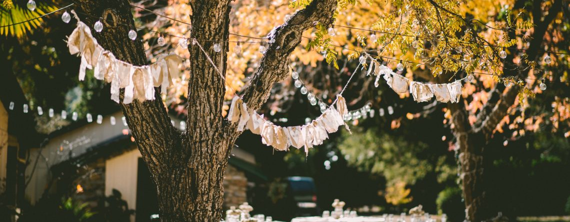 cut down wedding expenses