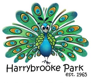 harrybrooke